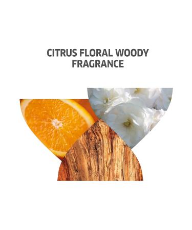 Wella Professionals Invigo Color Brilliance Post Color Sealing Shampoo 250ml. - Buy Online on GoSupps.com