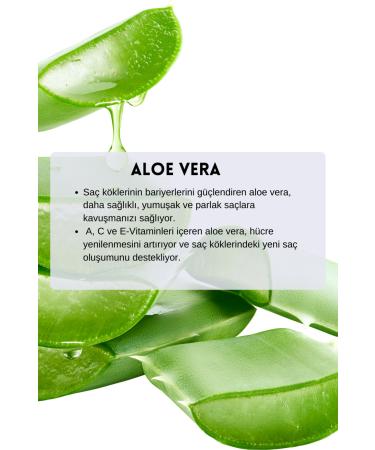 wiosen Complete Care Against Hair Loss Anti-Dandruff Repairing Shampoo 400 ml - Buy Online on GoSupps.com