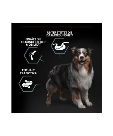 Pro Plan Pro plan Medium Adult Lamb Medium Breed Dog Food 3 KG - META PET - Buy Online on GoSupps.com