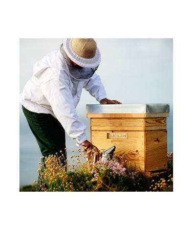 Guerlain Abeille Royale - Firming Skin Serum with Ouessant Island Honey Guerlain Special Royal Jelly 30 ml - Buy Online on GoSupps.com