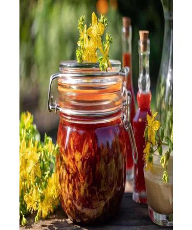 Ay eana Local St. John's Wort Oil Homemade 500 ml