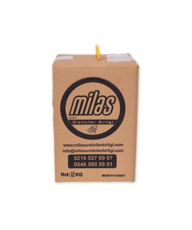 Milas Producers Association Cream Honey 5 kg - Buy Online on GoSupps.com