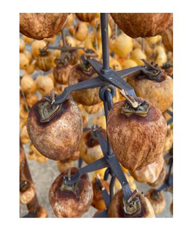 Muslu Gardens persimmon