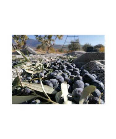 mut pearl olive & olive oil Sun Dried Black Sele Olives - Buy Online on GoSupps.com