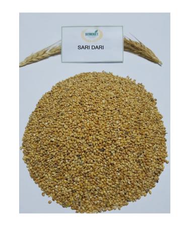 Bereketlimama Yellow Millet- Bird Food-5 Kilograms