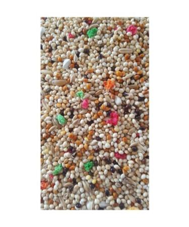 Seeding Special Seeded Budgie Food 5 Kg - Buy Online on GoSupps.com