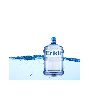 Plum second use Empty Demijohn Plum