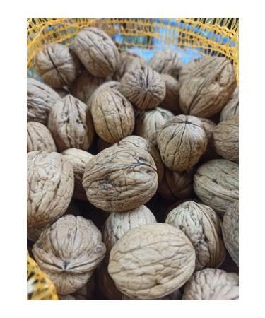 HANKAH New Crop Local Thin Shelled Walnuts 500 gr