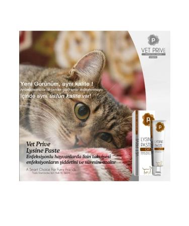 VetPrive Vet Prive Lysine Paste / Immune Respiratory and Eye Support Paste for Cats - Buy Online on GoSupps.com