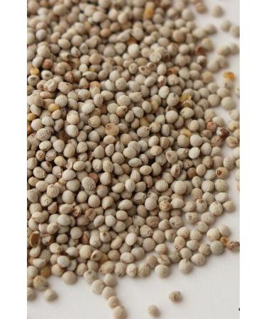 han melipetstore Perilla Seed For Your Birds 500 Grams