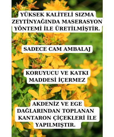 Ancient Healing St. John's Wort Oil - (20 Ml) - Buy Online on GoSupps.com