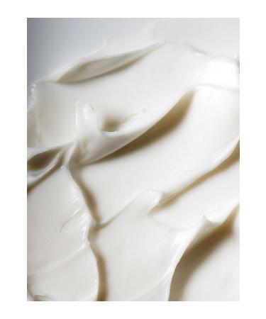 Darphin Cream for all tests of maturation - Stimulskin Plus Absolute Regenerating Cream - 50 ml Repair6 - Buy Online on GoSupps.com