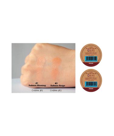 Skinfood Salmon Concealer Cream (01) 10g - Buy Online on GoSupps.com