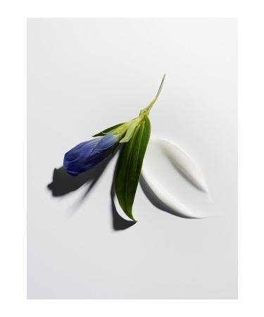 Darphin Cream for all tests of maturation - Stimulskin Plus Absolute Regenerating Cream - 50 ml Repair6 - Buy Online on GoSupps.com