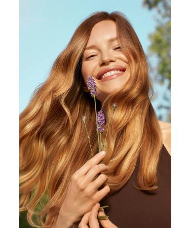 Avon Care Shampoo and Conditioner with Nettle and Lavender Extracts 700 Ml. - Buy Online on GoSupps.com