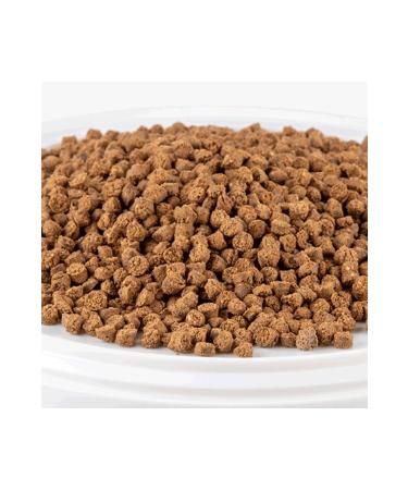 Delta Ration High Protein and Energy Parrot Food - 3 Kg - Buy Online on GoSupps.com