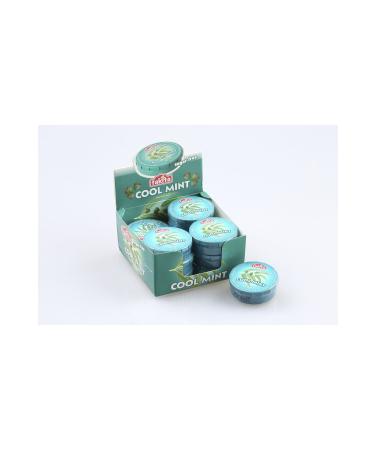Takita COOL MINT FLAVORED TAB. PACK OF 12 - Buy Online on GoSupps.com
