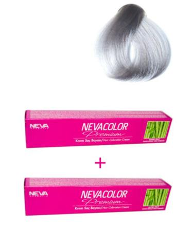Neva Color 2 Pieces Nevacolor 50g Tube Paint 9.01 Silver