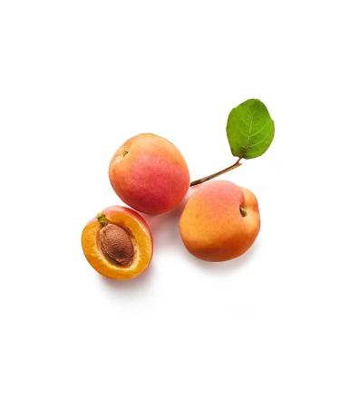 Yves Rocher - Body Scrub - Apricot - 150ml - Buy Online on GoSupps.com