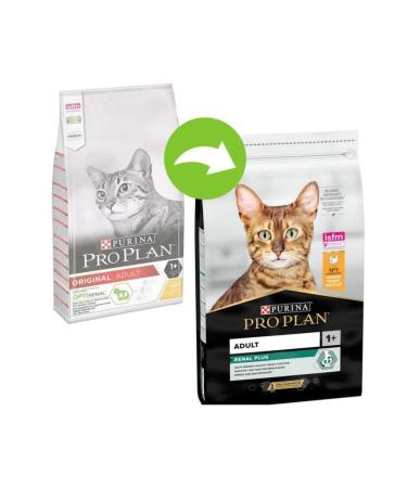 Pro Plan Renal PLus Adult Cat Food with Chicken 10 Kg - Buy Online on GoSupps.com