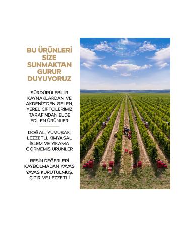 DRYBOX 3 Pack Sugar Free Dried Mulberry Dried Fruit Natural Snack 42g - Buy Online on GoSupps.com