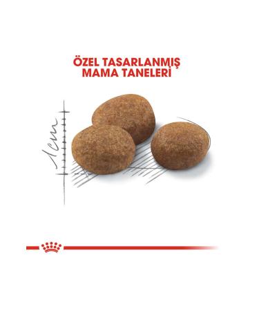 Royal Canin Sterilised +7 Sterilised Senior Cat Food 3.5 Kg. - Buy Online on GoSupps.com