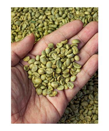 Hasanzade Zade Raw Coffee Beans 1 KG - Buy Online on GoSupps.com