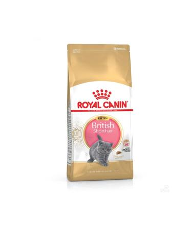 Royal Canin British Shorthair Kitten Cat Food 2 Kg - Tazemama Express