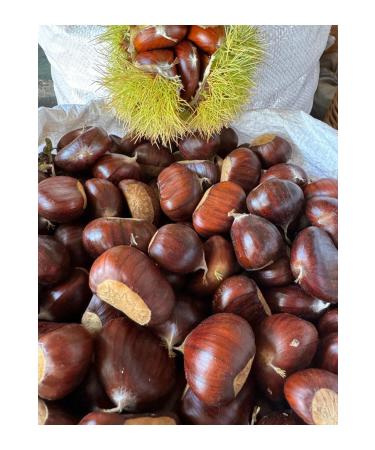 Demircik y Farm Chestnut Large Size 1000 Grams-2024 Harvest