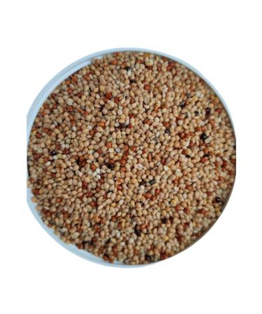 MALATYAYEM 10 Kg Budgie Special Production Food - Rich Content - High Quality