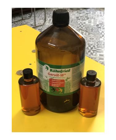 GAKGO YEM Vitamin Gervit 100ml