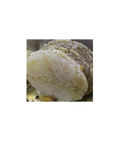 Tasexpress Hakkari Extinguished Hive Honey 1000gr-1200gr