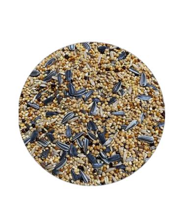 FLUFFY BIRD WORLD Black Sea Production Special Parrot (BIG PARAKEETS) Food 10 Kg (SPECIAL VACUUM PACKAGING) (1 KG X 10 PACKS)