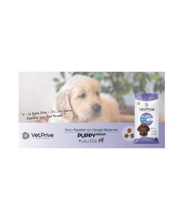 VetPrive Vet Prive Medium and Large Breed Puppy Dog Food Lamb Meat 14 Kg - Buy Online on GoSupps.com