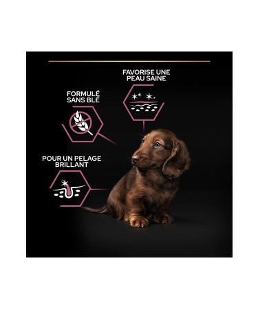 Pro Plan Small Mini Puppy Salmon Puppy Food for Small Breeds 3 kg - Buy Online on GoSupps.com