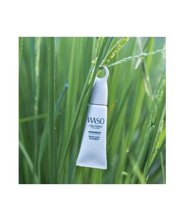 Shiseido WASO - Hybrid Spot and Acne Treatment Concealer Effective Local Care Cream 8 ml - Buy Online on GoSupps.com