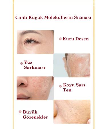 Xolo Anti-Wrinkle 30 Collagen Face Capsule Serum Instant Effect XLB101 - Buy Online on GoSupps.com
