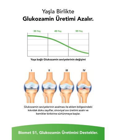 Biomet S1 Glucosamine Herbal Glucosamine and Frankincense Extract Liquid Food Supplement 50 Days Vegan 500ml - Buy Online on GoSupps.com