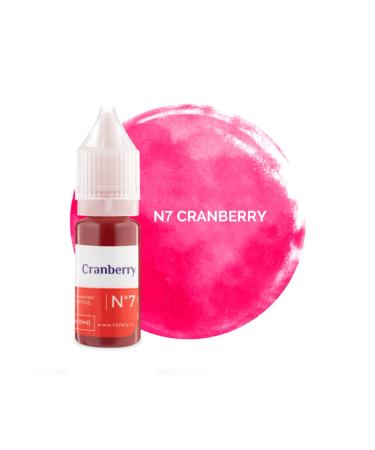 HANAFY Permanent Makeup Pigments American Pigmented Original Russian Origin