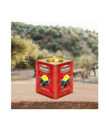 Nursan Food Special Special Olive 4 Kg