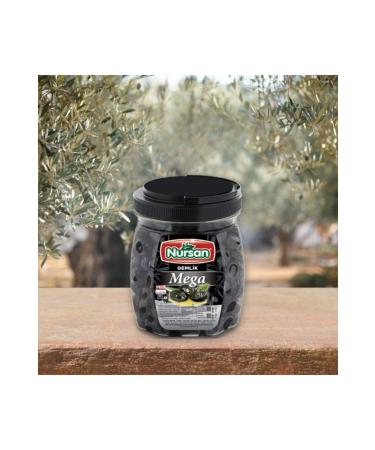 Nursan Food Mega Oily Saddle 800 gr