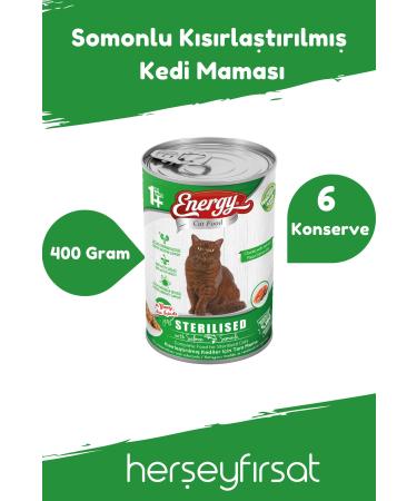 Energy Salmon Sterilized Cat Food-400 Grams-6 Cans