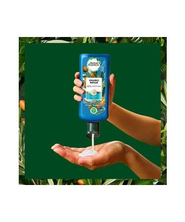 Herbal Essences Argan Oil Nourishing - Repairing - Shampoo 400 ml - Buy Online on GoSupps.com