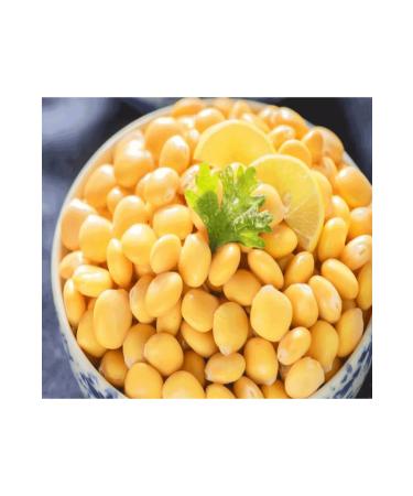 BLOUDAN Ready Termiye 300 gr X3 PIECES - Buy Online on GoSupps.com