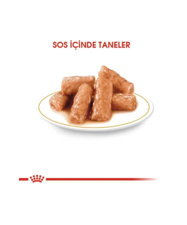 Royal Canin British Shorthair Cat Canned Food 85 Gr 12 Pack - Buy Online on GoSupps.com