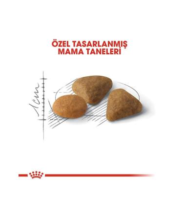 Royal Canin Exigent Cat Food for Sensitive and Picky Cats 2Kg - Buy Online on GoSupps.com