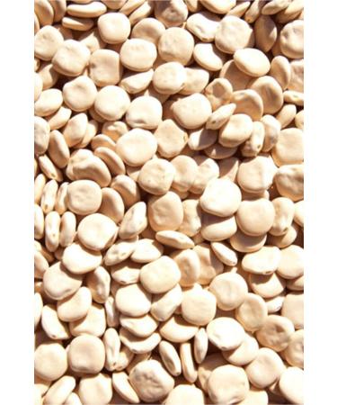 BLOUDAN Ready Termiye 300 gr X3 PIECES - Buy Online on GoSupps.com