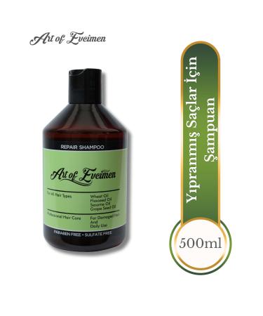 Art of Evcimen Shampoo for Damaged Hair 500 ml