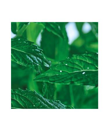 Yves Rocher Peeling and Mask Effect Charcoal Face Wash Gel Contains Prebiotics 125 ML - Buy Online on GoSupps.com