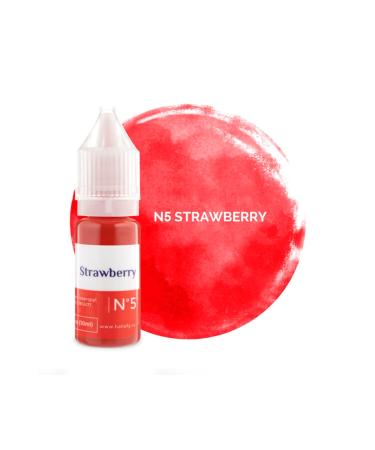 HANAFY Permanent Makeup Pigments American Pigment Original Russian Origin